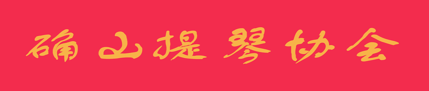 确山手工提琴协会